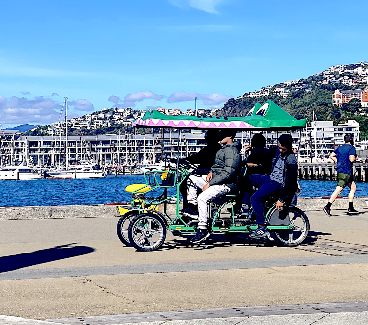 Let Me Out team experience on Wellington's waterfront